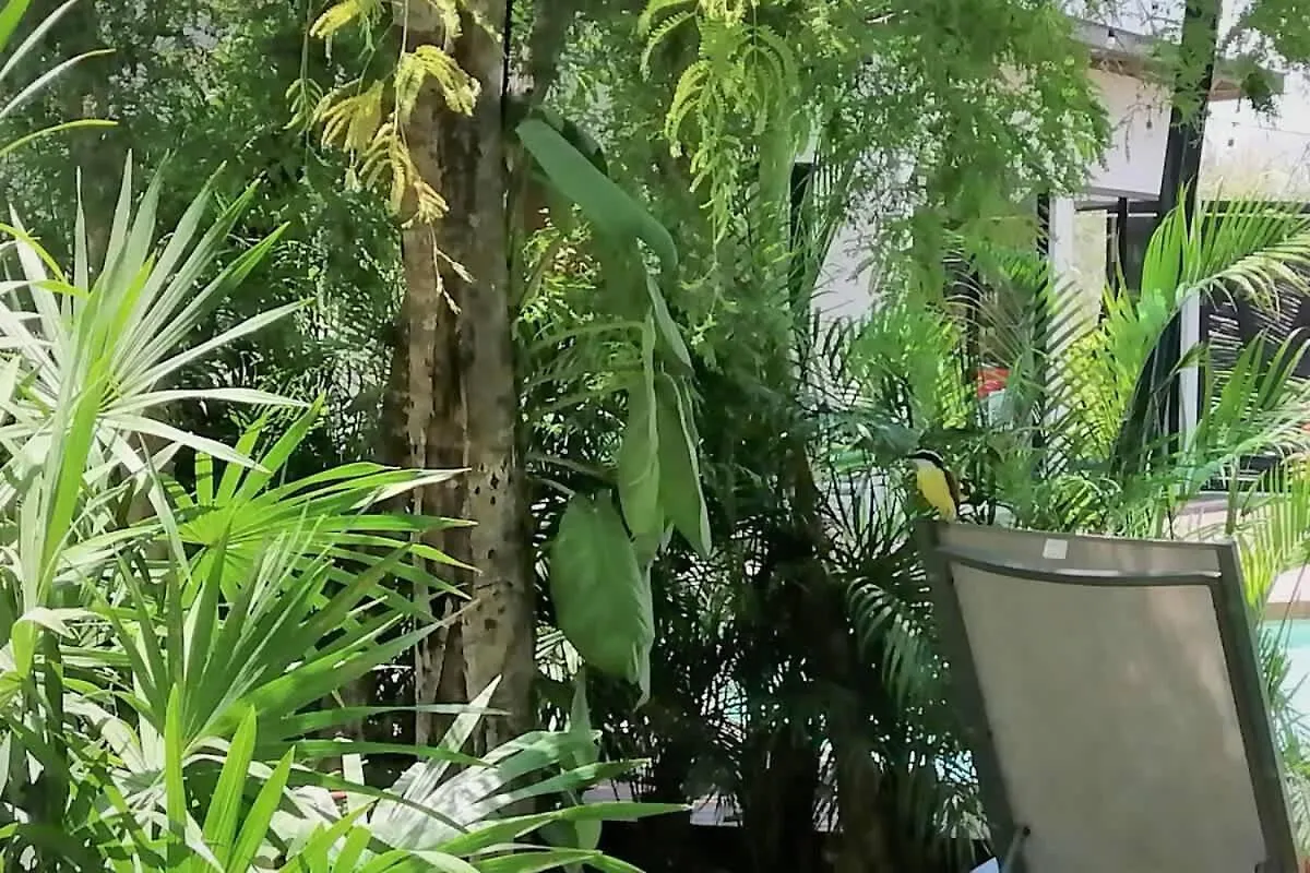 Holiday home Tulum Home Office Studio King Bed With Fast Wifi Gym Yoga Laundry Pools And Lift