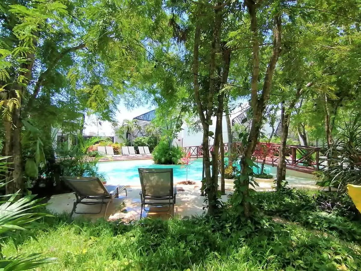 Tulum Home Office Studio King Bed With Fast Wifi Gym Yoga Laundry Pools And Lift