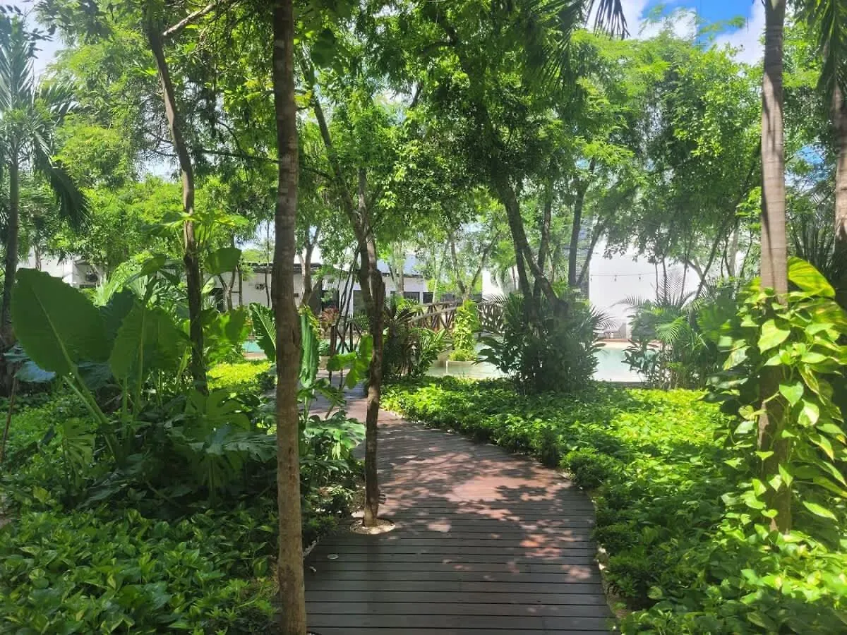 Tulum Home Office Studio King Bed With Fast Wifi Gym Yoga Laundry Pools And Lift 0*,  Mexico